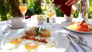 All Gourmet Experience
