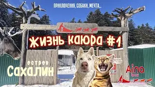Жизнь каюра #1 Работа с собаками | Знакомство с северными оленями | В поисках Хатико.
