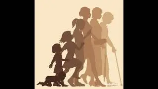 Phases of life