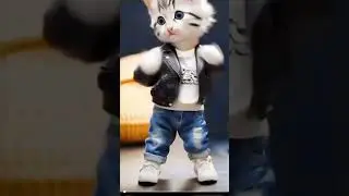 pet dan&ccedil;ando pet Rodrigues #cat #modapet #funny #colonelkkjϟ #cute #pets #pet #dance #funnyanimals