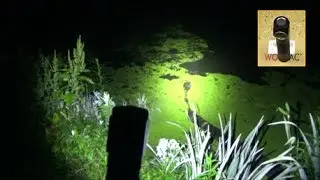 Budget Friendly ($20) Headlamp Review, Wowtac A2 Headlamp