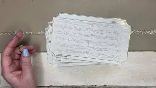 Paper Trail Plans Haul