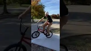 INSANE low handrail BMX