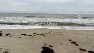Gedesby strand 29. nov. 2013