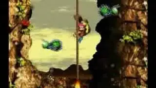 Donkey Kong 3 - #31 - Kong Fused Cliffs