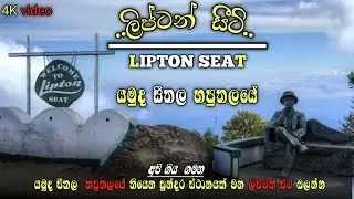 #යමුද හපුතලේ පැත්තෙ සවාරියක් #හපුතලෙ පිහිටා ඇති ලස්සනම තැනක් වෙන #ලිප්ටන්සි කියන තැන බලන්න 26/01/08