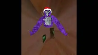 I played with the owner of queen tag