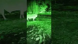 The horror scene #shorts #ytshorts #youtubeshorts #bhoot #ghost #viral #trending