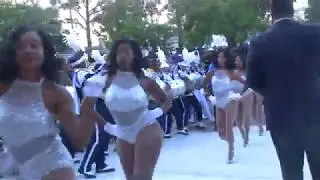 Hampton university 2019 homecoming Tunnel
