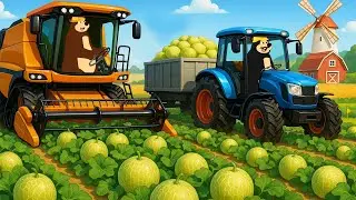 Farm Work Day - Tractor Planting & Harvesting Melons | Real Farm Animation