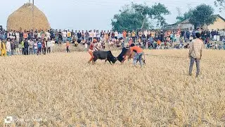 😰 Guru Narayan fighting video #guru #narayan #youtubeindia #assam #volg #funny