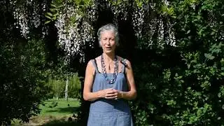 Breast Health and the Heart Protector - Simple and Powerful Techniques with Prune Harris