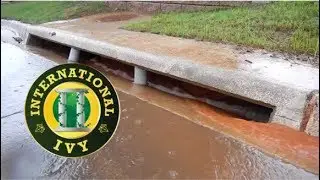 Sediment Pollution