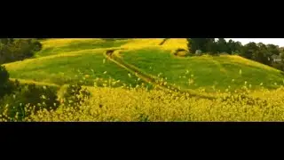 Springtime: Refreshing Piano Ambience [40 Minutes]