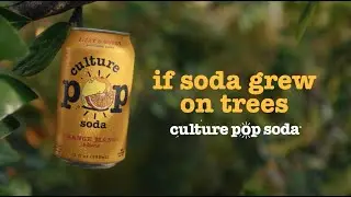 Culture Pop Soda - If Soda Grew on Trees