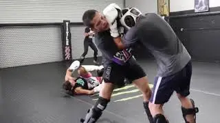 Alliance MMA Gym