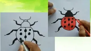 How to draw a beetle after writing number 8 step by stepy
