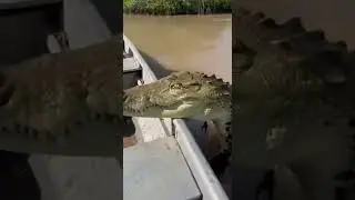 CROCODILE DESTROYED OUR BOAT IN SECONDS 😱