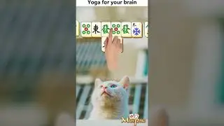 Mahjong - Puzzle Game