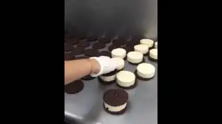 Skyler's Foodie Finds - The Perfect Ice Cream Sandwich (Periscope)