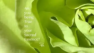 Are you being true to your Sacred Essence? - Meeting with Pia