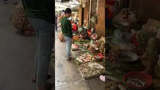 #wetmarket #vegetables #fish #marketfish #streetfoodmarket #foodmarketscene #marketfoodshow #vendors