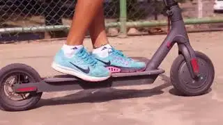 Patinete m365 DABLOID Store