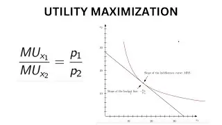 Utility Maximization: Lagrange Method | Mathematical Approach to Consumer Behavior in Microeconomics