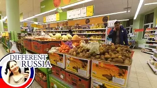My Experiment & Support Team. Food Prices: Russia vs USA. Dacha Season Preparation in Russia