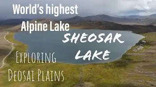 Spending a Day at Sheosar Lake - Deosai National Park