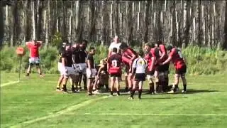 Canty B v Wellington B