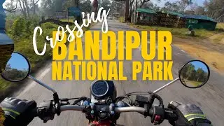 Riding Through Bandipur National Park | Bangalore to Ooty Trip 2026 [4K] 
