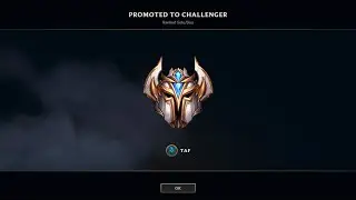 1000 LP BANGER MONTAGE