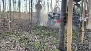Demonstratie mechanische onkruidbestrijding in de boom- en fruitteelt