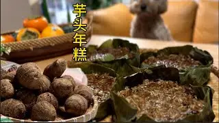 【日记】灶间年味渐浓 糕香满室迎春来【Garden Time 田园生活分享】20245 1