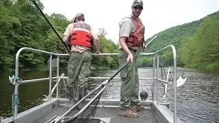 WVDNR highlights water quality improvements, smallmouth bass fishing in Cheat, Tygart rivers