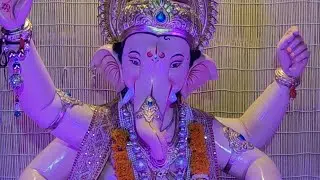 chalo fer ganpati dekhane ❤️☺️