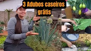 3 Adubos CASEIRO ,GR&Aacute;TIS , que vai TURBINAR A SUA HORTA!!!