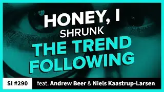 Honey, I Shrunk the Trend-Following | Systematic Investor 290