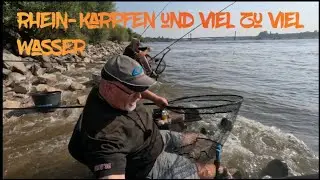 Angeln am Rhein ,Karpfen, Russnase ,Brassen,Rotaugen,Skimmer,Aland