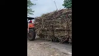 Kereta Tebu #shorts #tebu