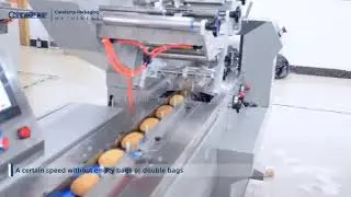 Lateral fraction one-three macherial machine  about packing  bread