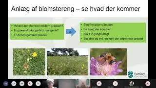 Inspirationsm&oslash;de -  Mere vild natur i grundejerforeningen