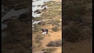 Nellore penna bridge kindha dead body #nellore #shots #minivlog #viralvideo #deadbody #explorepage