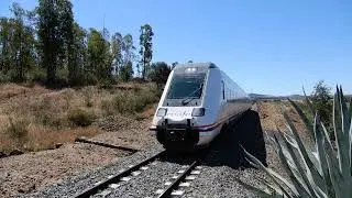 Tren llegando a 