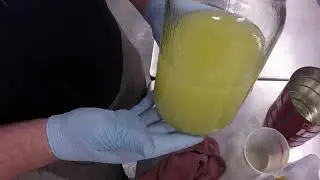 Making Bio Diesel