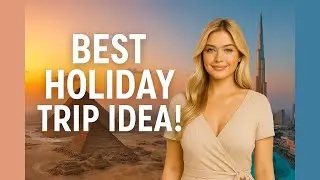 Swimming with Wild Dolphins in Egypt | Dolphin House Tour in Marsa Alam