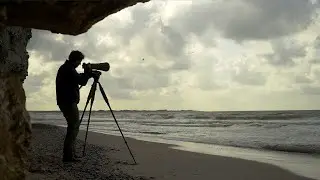 Drawn by the sea - a bird cliff story | short NATURE documentary filmed with Nikon Z6