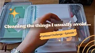 Cleaning What I&rsquo;ve Been Avoiding: Fishbowl Method Challenge - Ep 1