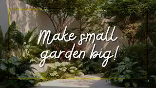 Plants That Make Small Gardens Feel Bigger 🌿